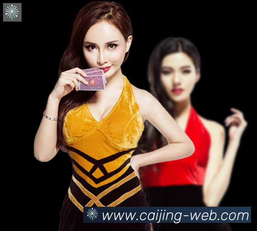 彩经网荣誉